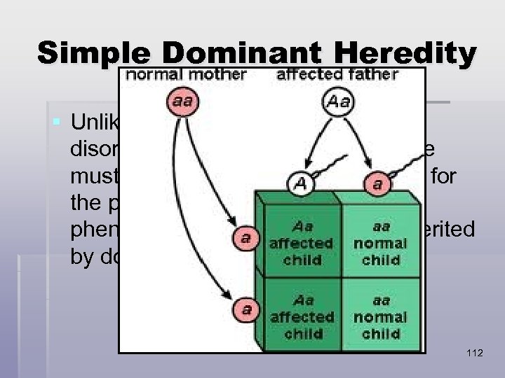 Simple Dominant Heredity § Unlike the inheritance of recessive disorders (in which a recessive