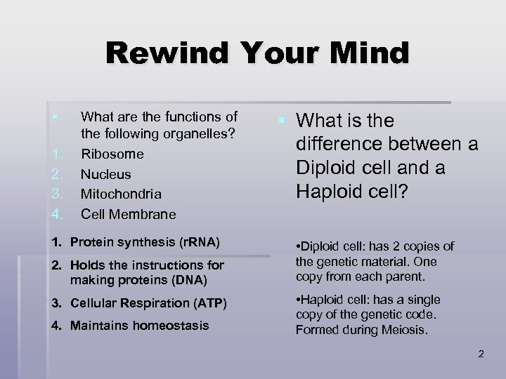 Rewind Your Mind § 1. 2. 3. 4. What are the functions of the