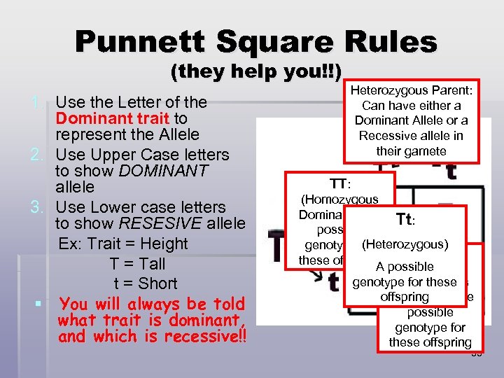 Punnett Square Rules (they help you!!) 1. Use the Letter of the Dominant trait