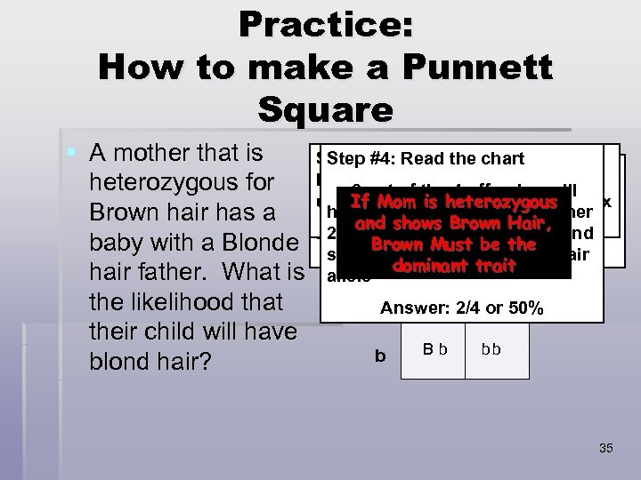 Practice: How to make a Punnett Square § A mother that is heterozygous for