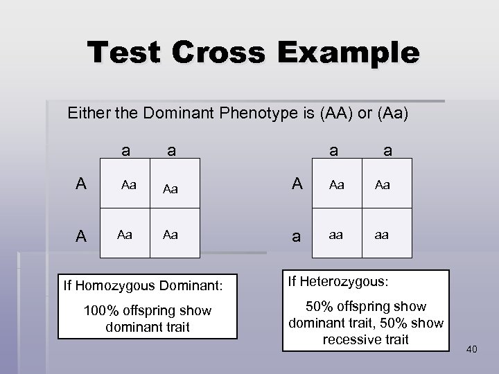 Test Cross Example Either the Dominant Phenotype is (AA) or (Aa) a A A