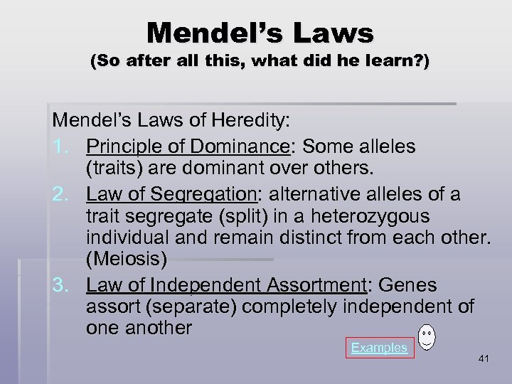 Mendel’s Laws (So after all this, what did he learn? ) Mendel’s Laws of