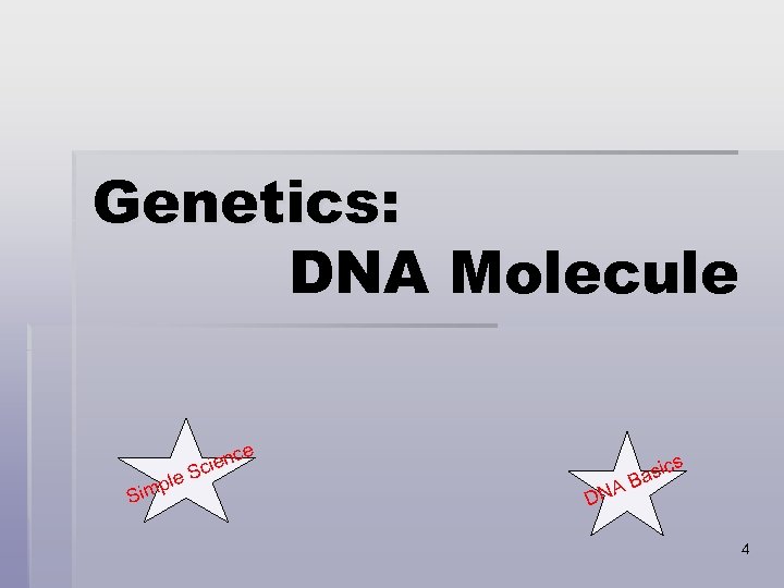 Genetics: DNA Molecule p Sim le e ienc Sc A DN asic B s