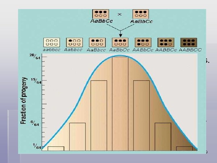 Polygenetic Inheritance § Polygenic inheritance is the inheritance pattern of a trait that is