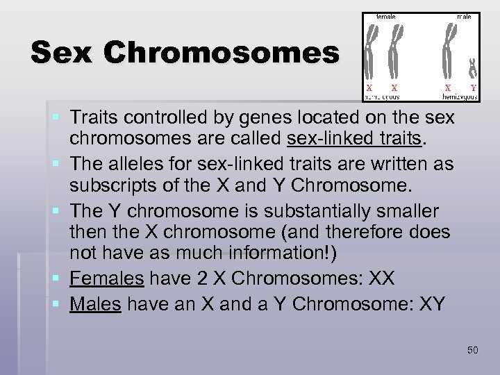 Sex Chromosomes § Traits controlled by genes located on the sex chromosomes are called