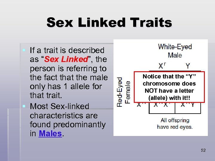 Sex Linked Traits § If a trait is described as “Sex Linked”, the person