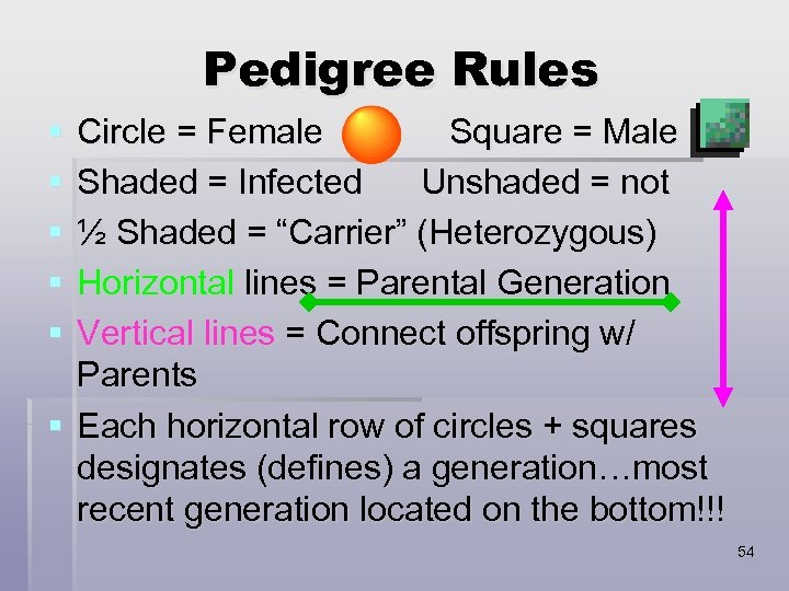 Pedigree Rules § § § Circle = Female Square = Male Shaded = Infected