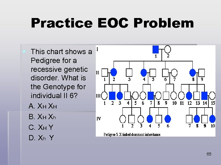 Practice EOC Problem § This chart shows a Pedigree for a recessive genetic disorder.