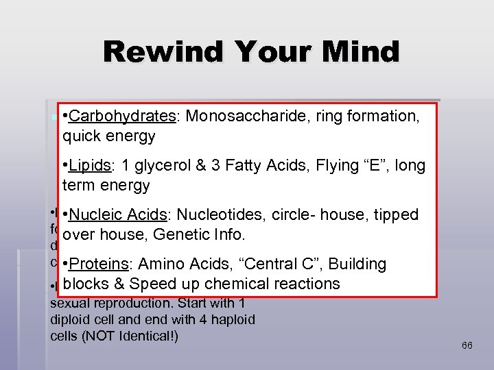 Rewind Your Mind § • Carbohydrates: Monosaccharide, ringare the 4 What are the §