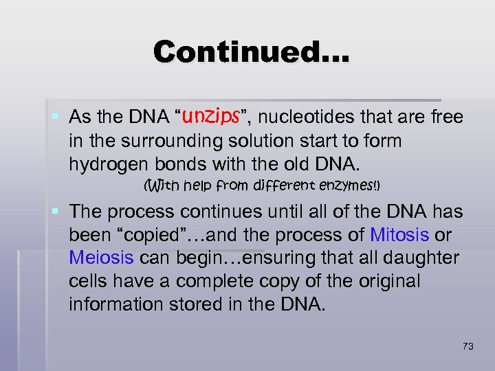 Continued… § As the DNA “unzips”, nucleotides that are free in the surrounding solution