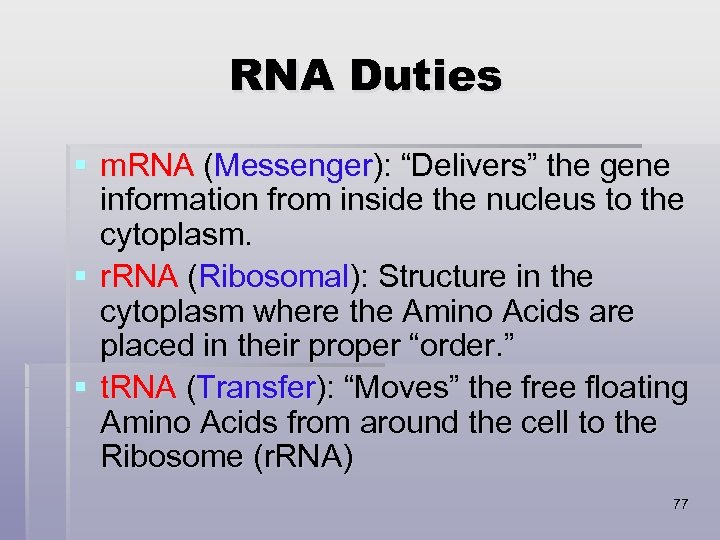 RNA Duties § m. RNA (Messenger): “Delivers” the gene information from inside the nucleus