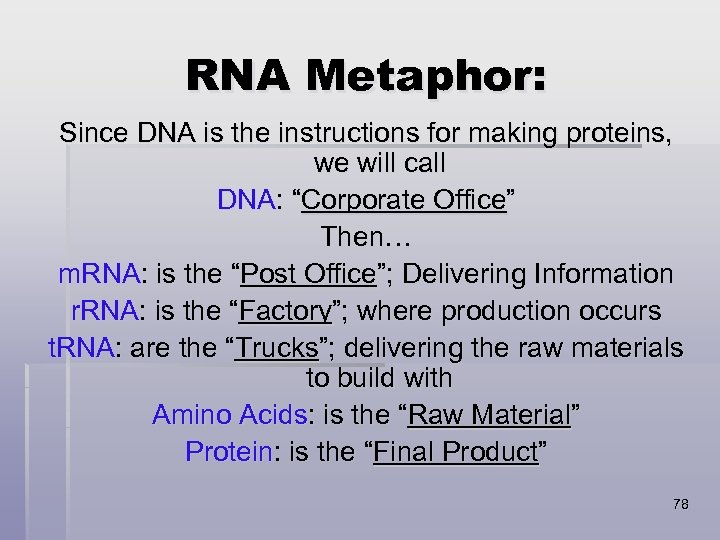 RNA Metaphor: Since DNA is the instructions for making proteins, we will call DNA: