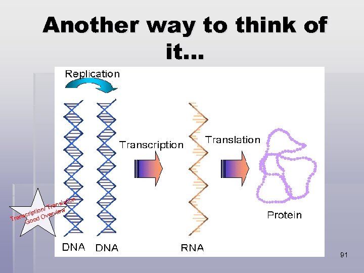 Another way to think of it… ation ansl r n/ T riptio verview sc