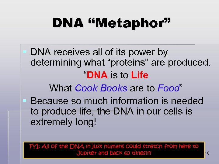 DNA “Metaphor” § DNA receives all of its power by determining what “proteins” are
