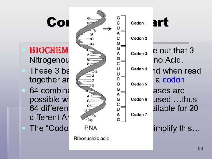 Conversion Chart § Biochemists were able to figure out that 3 Nitrogenous bases code