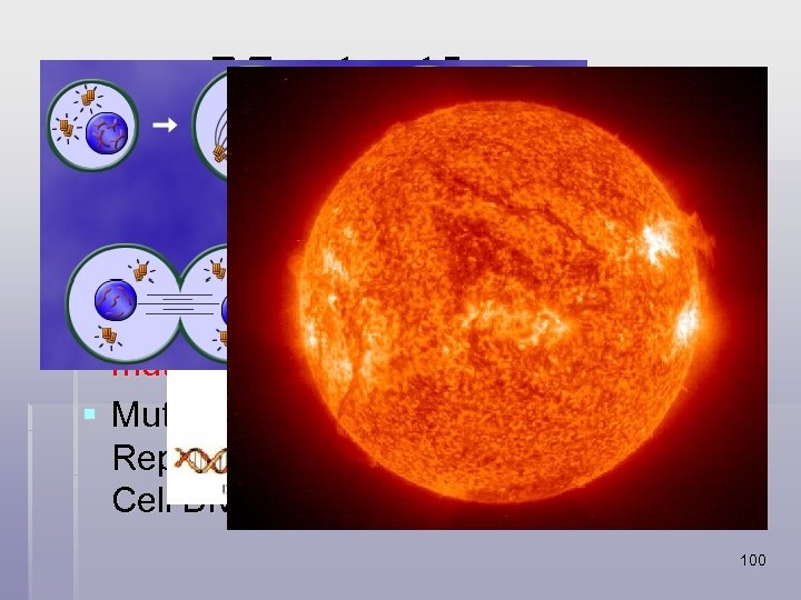 Mutations § Organisms have evolved many mechanism to ensure that DNA is replicated properly…however