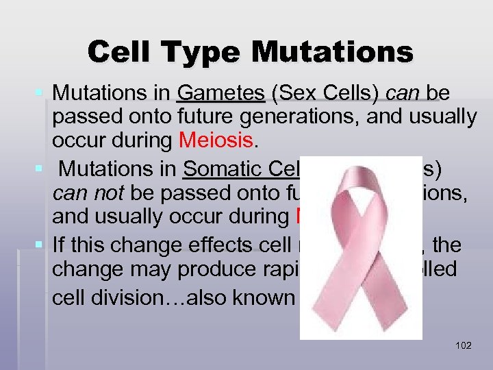 Cell Type Mutations § Mutations in Gametes (Sex Cells) can be passed onto future