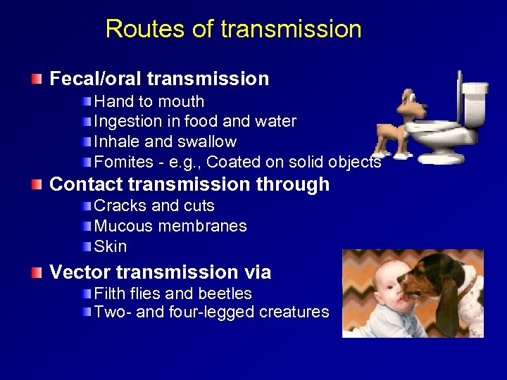 Routes of transmission Fecal/oral transmission Hand to mouth Ingestion in food and water Inhale