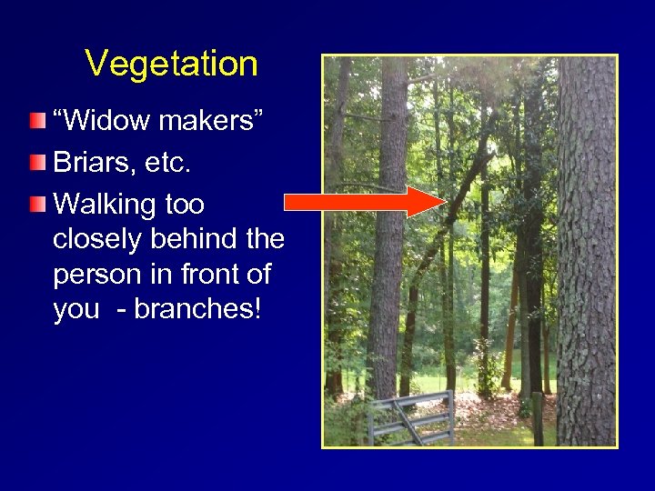 Vegetation “Widow makers” Briars, etc. Walking too closely behind the person in front of