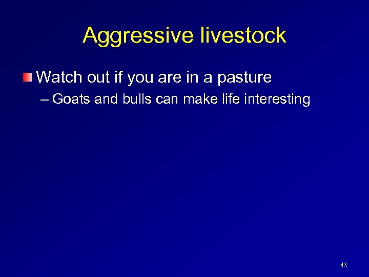 Aggressive livestock Watch out if you are in a pasture – Goats and bulls