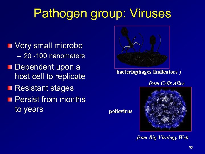 Pathogen group: Viruses Very small microbe – 20 -100 nanometers Dependent upon a host