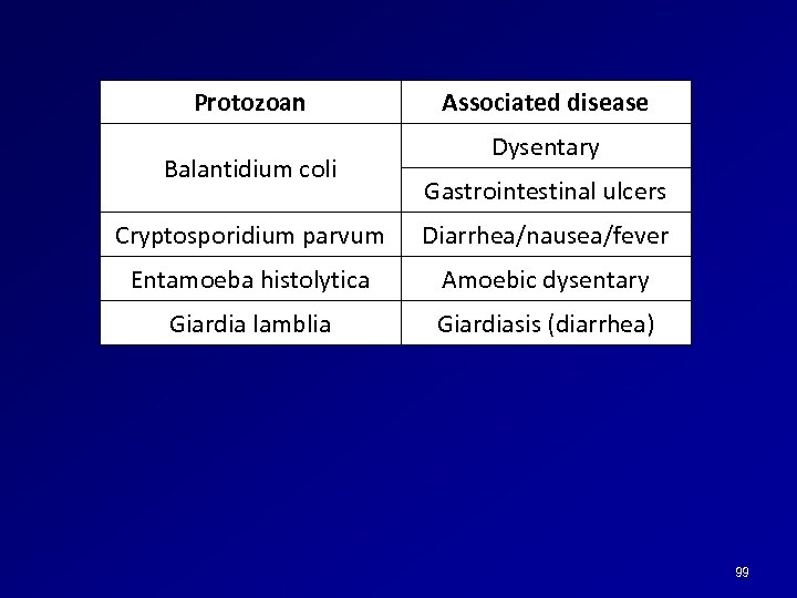 Protozoan Balantidium coli Associated disease Dysentary Gastrointestinal ulcers Cryptosporidium parvum Diarrhea/nausea/fever Entamoeba histolytica Amoebic