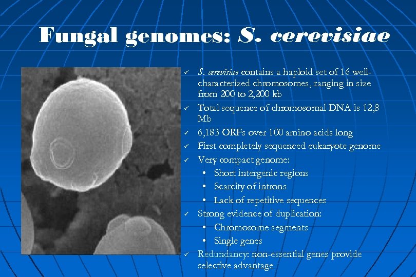 Genomes Definition U U U Complete Set