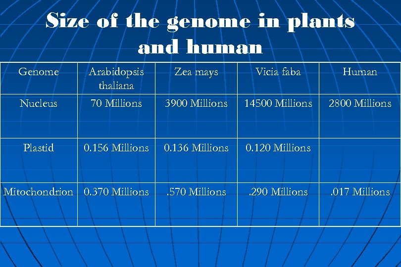 Size of the genome in plants and human Genome Zea mays Vicia faba Human