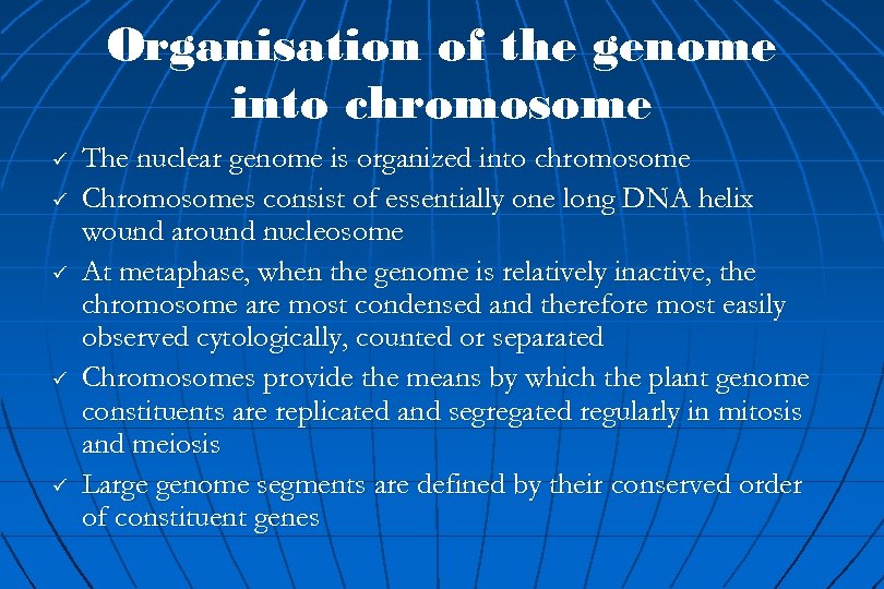 Organisation of the genome into chromosome ü ü ü The nuclear genome is organized