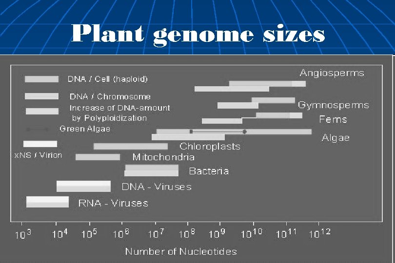 Plant genome sizes 