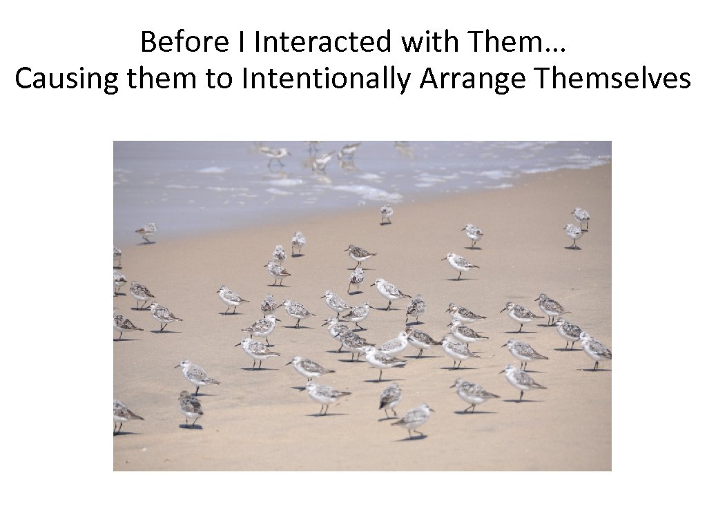Before I Interacted with Them… Causing them to Intentionally Arrange Themselves 