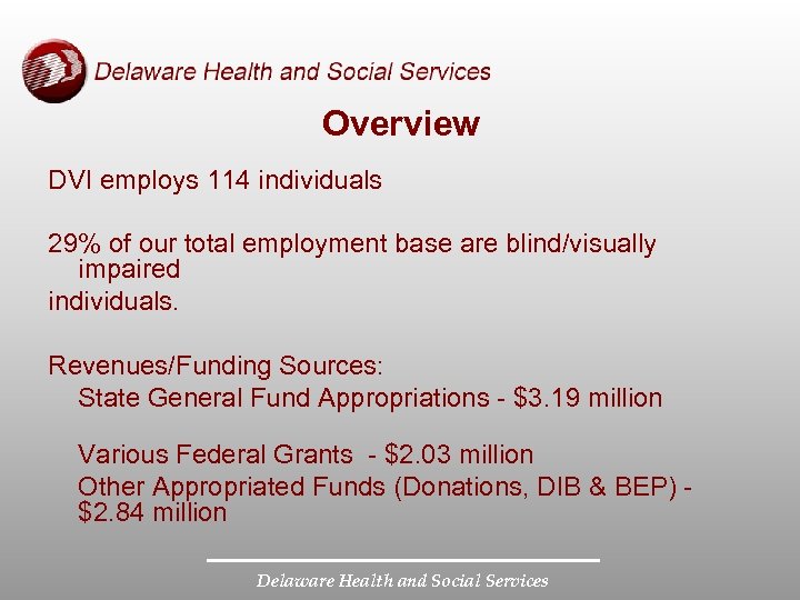Overview DVI employs 114 individuals 29% of our total employment base are blind/visually impaired