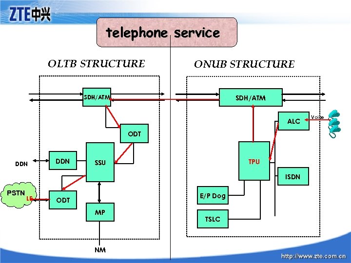telephone service OLTB STRUCTURE ONUB STRUCTURE SDH/ATM ALC ODT DDN TPU SSU ISDN PSTN