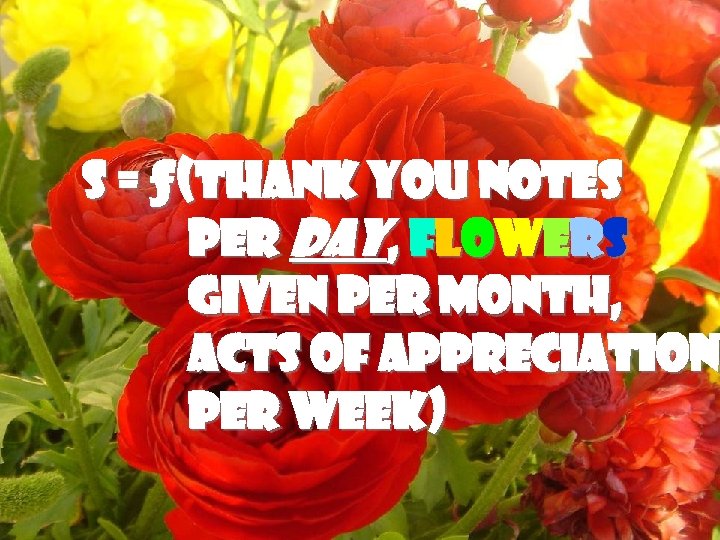 F LO W E R POWER S = ƒ(Thank you notes per Day, flowers