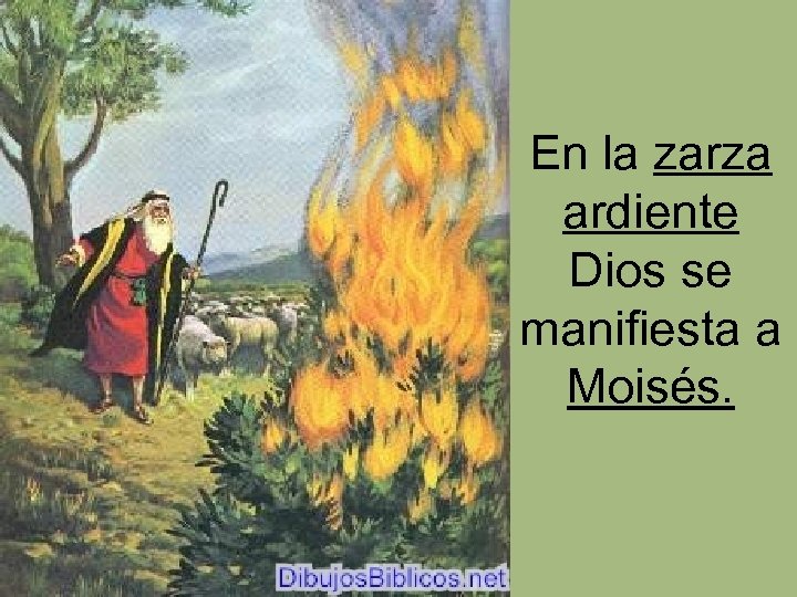 En la zarza ardiente Dios se manifiesta a Moisés. 