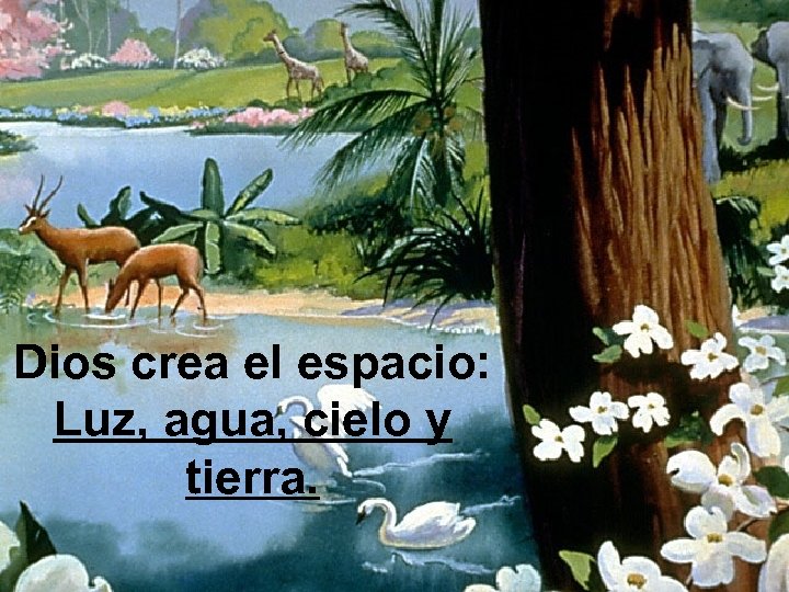 Dios crea el espacio: Luz, agua, cielo y tierra. 
