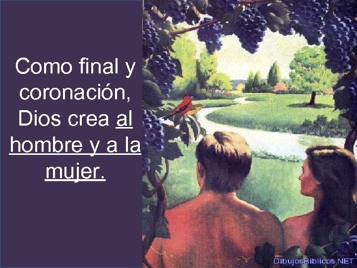 Como final y coronación, Dios crea al hombre y a la mujer. 