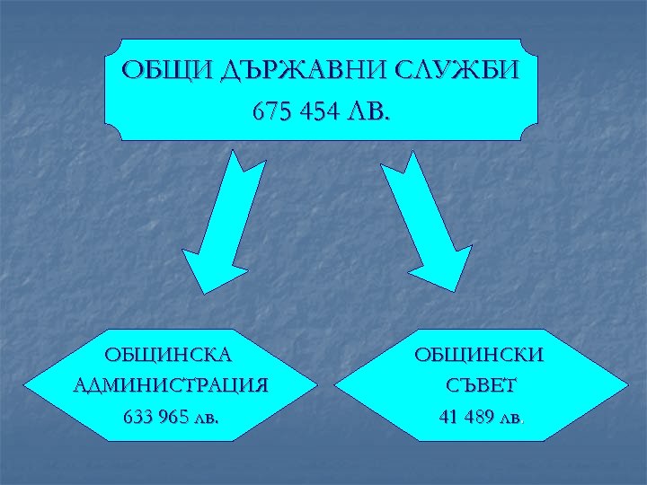 ОБЩИ ДЪРЖАВНИ СЛУЖБИ 675 454 ЛВ. ОБЩИНСКА АДМИНИСТРАЦИЯ 633 965 лв. ОБЩИНСКИ СЪВЕТ 41