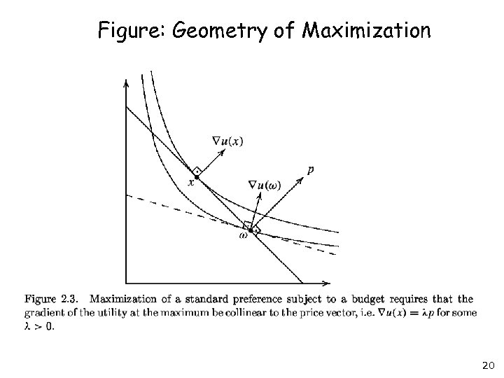 Figure: Geometry of Maximization 20 