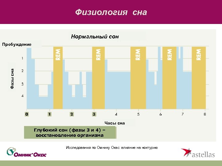 Физиология сна Нормальный сон Фазы сна Пробуждение Часы сна Глубокий сон (фазы 3 и