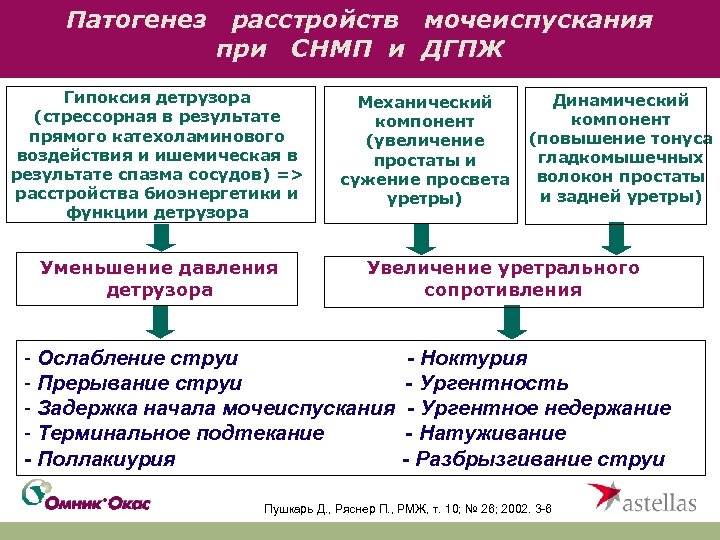 Патогенез расстройств мочеиспускания при СНМП и ДГПЖ Гипоксия детрузора (стрессорная в результате прямого катехоламинового