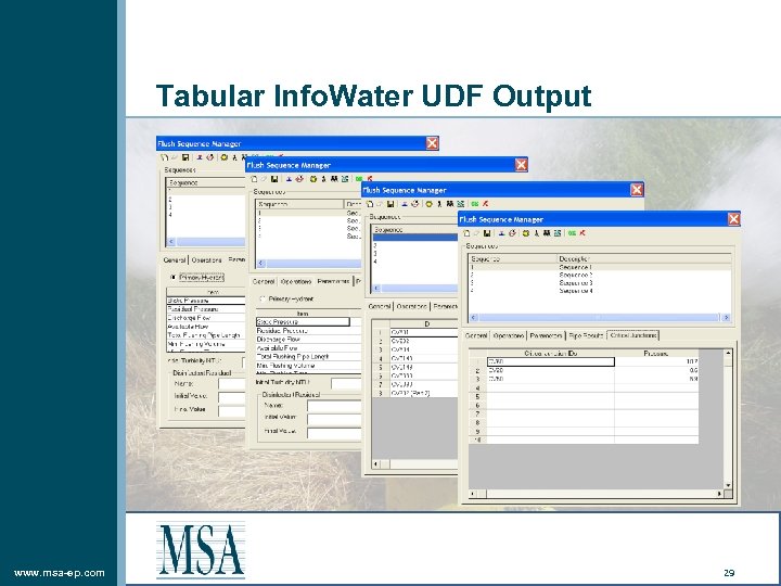 Tabular Info. Water UDF Output www. msa-ep. com 29 