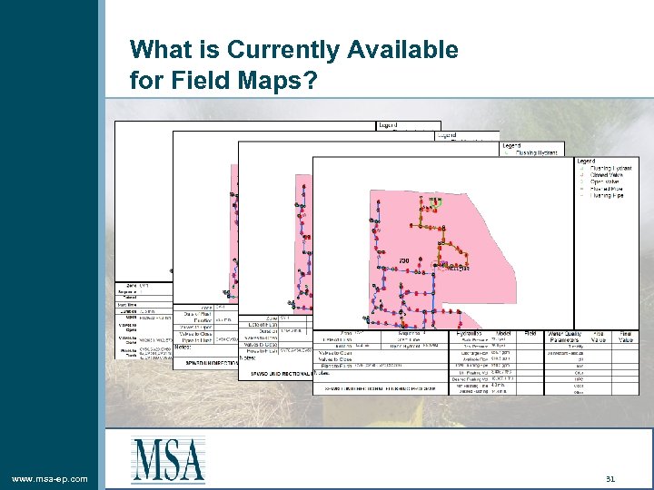 What is Currently Available for Field Maps? www. msa-ep. com 31 