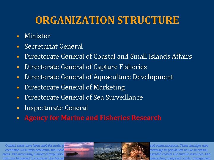 ORGANIZATION STRUCTURE • • • Minister Secretariat General Directorate General of Coastal and Small