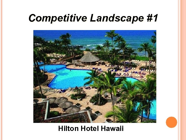 Competitive Landscape #1 Hilton Hotel Hawaii 