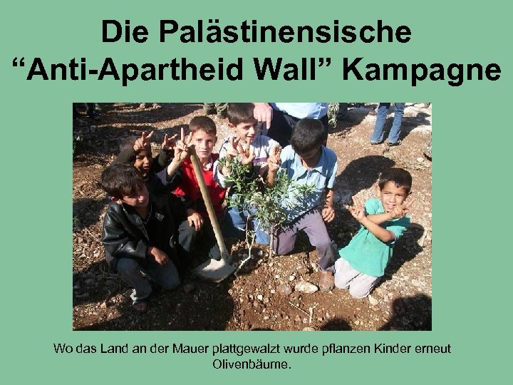 Die Palästinensische “Anti-Apartheid Wall” Kampagne Wo das Land an der Mauer plattgewalzt wurde pflanzen