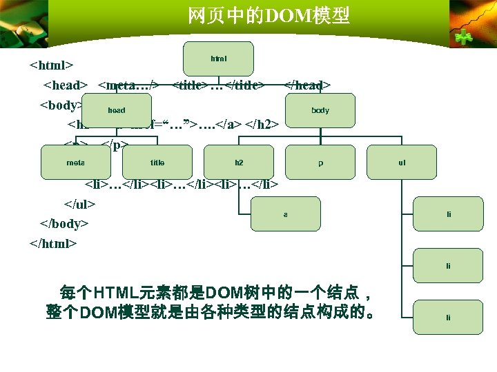 网页中的DOM模型 html <html> <head> <meta…/> <title>…</title> </head> <body> head body <h 2> <a href=“…”>….