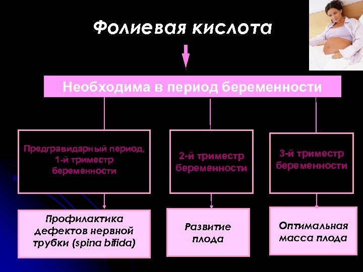 Фолиевая кислота Необходима в период беременности Предгравидарный период, 1 -й триместр беременности Профилактика дефектов