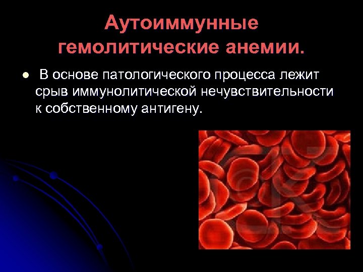 Аутоиммунные гемолитические анемии. l В основе патологического процесса лежит срыв иммунолитической нечувствительности к собственному