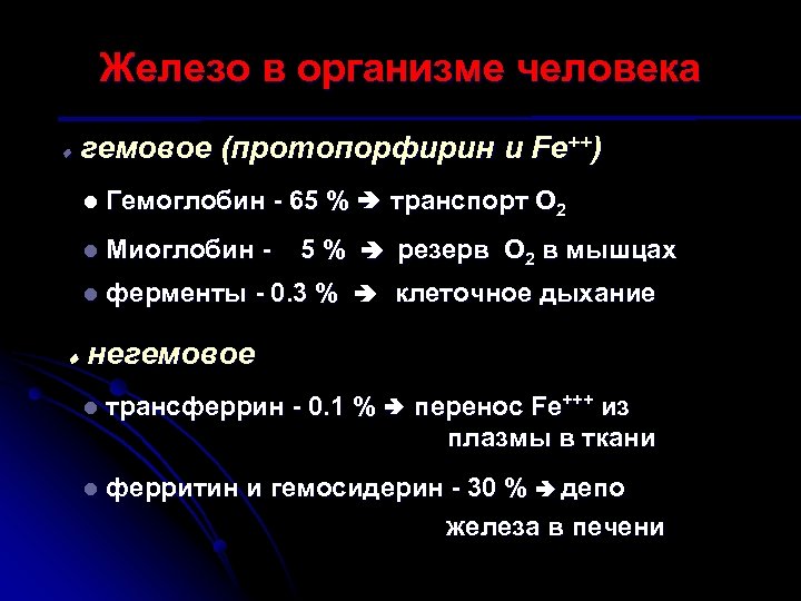 Железо в организме человека гемовое (протопорфирин и Fe++) l l Миоглобин - l Гемоглобин